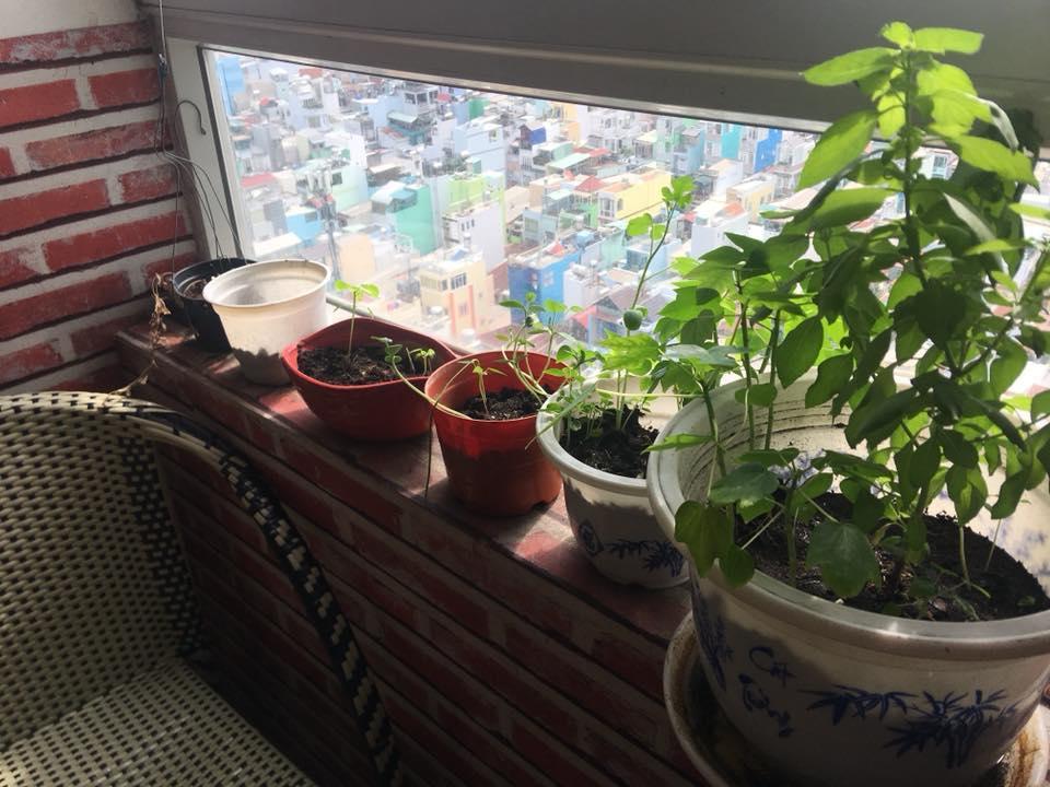 Skygon TP. Hồ Chí Minh