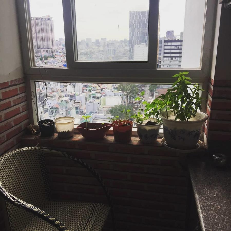 Skygon * TP. Hồ Chí Minh